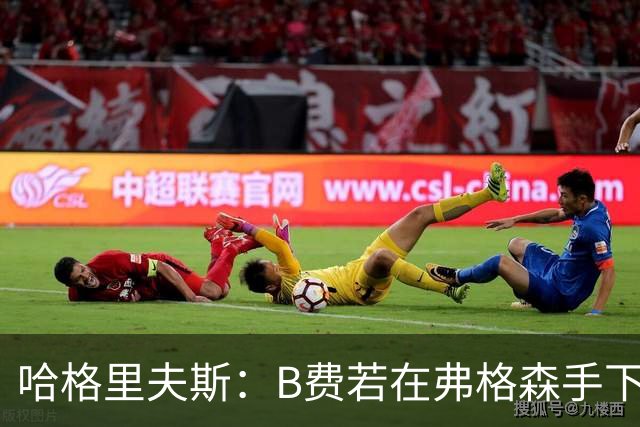 哈格里夫斯：B费若在弗格森手下说这话，就没机会再上场了