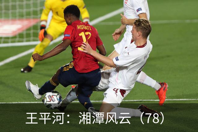 王平河：湘潭风云（7/8）