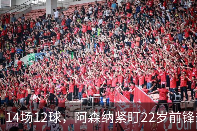 14场12球，阿森纳紧盯22岁前锋却要等到夏天